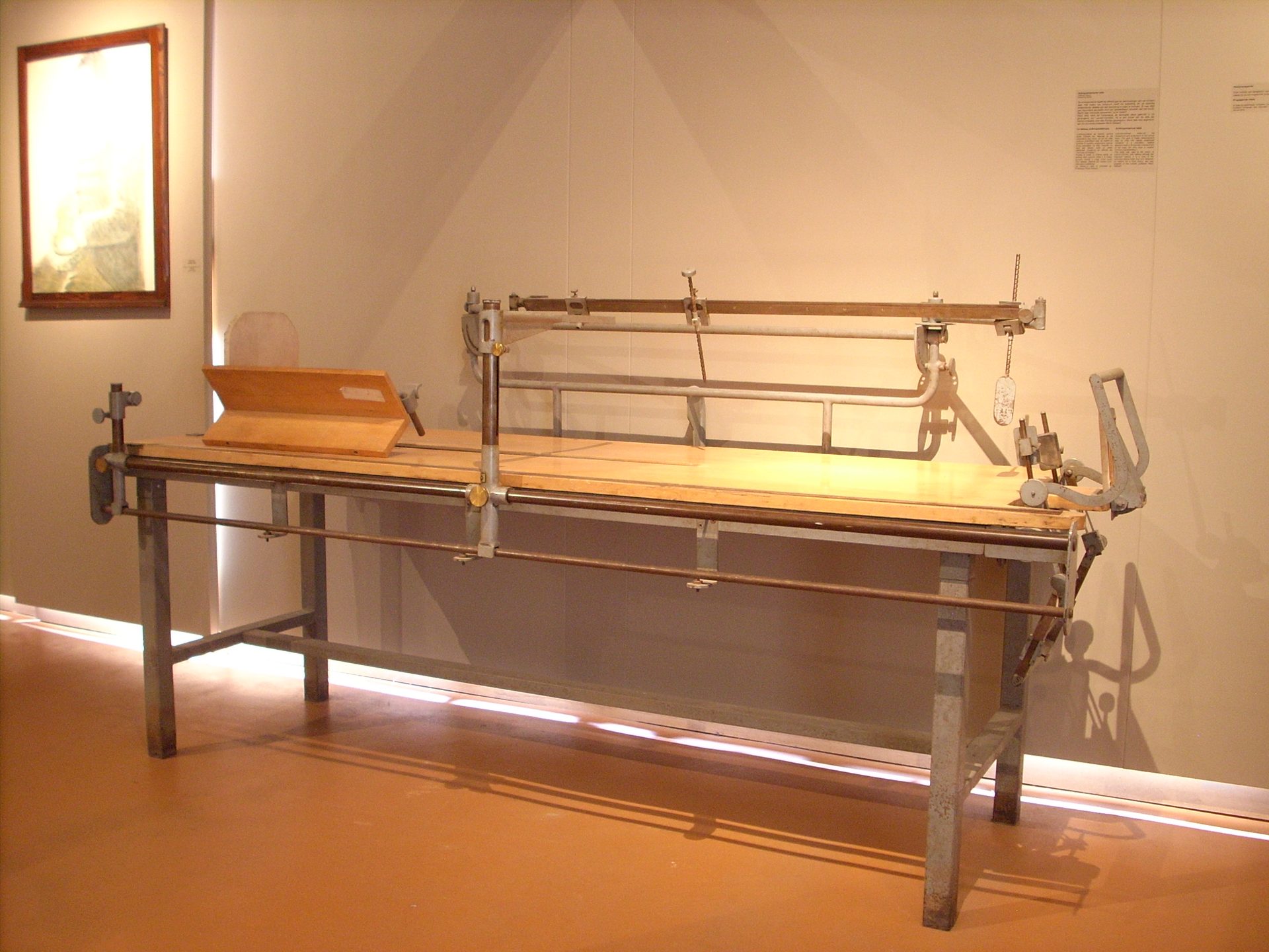 Anthropometrical table, Museum Dr Guislain, Gand (4).JPG